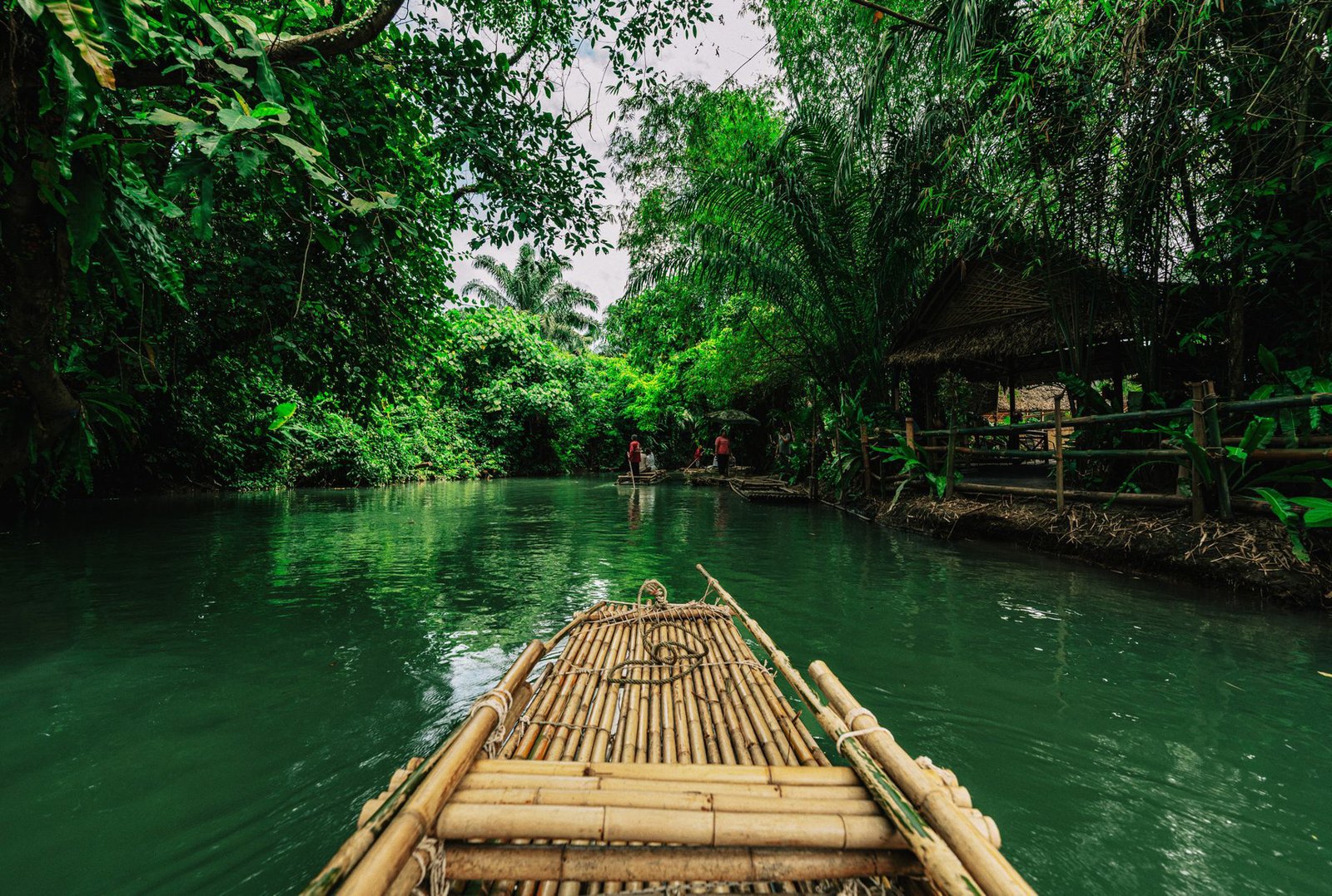 Bamboo rafting through green river in lush Krabi jungle setting - Thailand