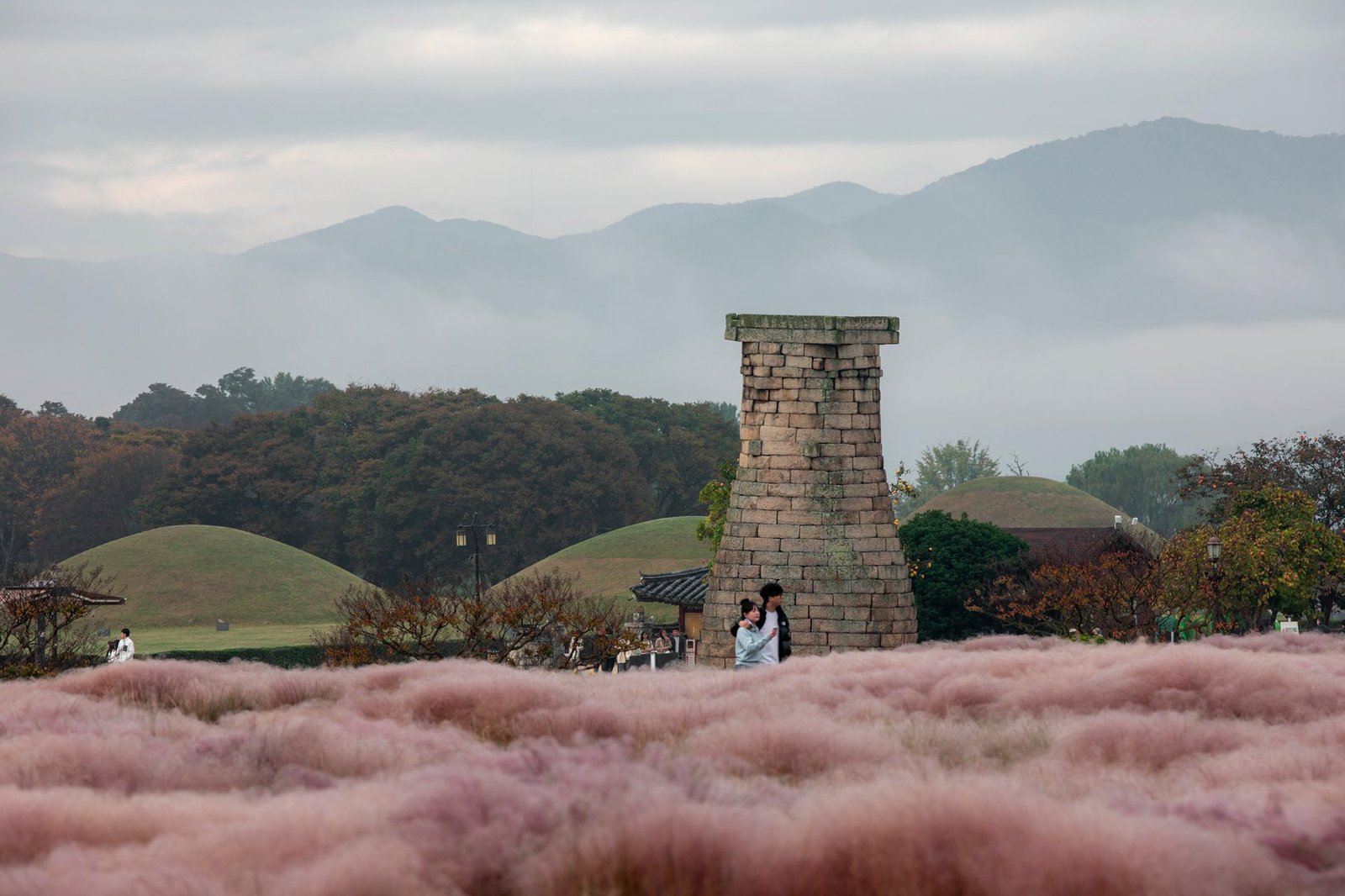 Couple walking by pink muhly grass and Cheomseongdae amidst serene Korean mountains - Gyeongju, South Korea
