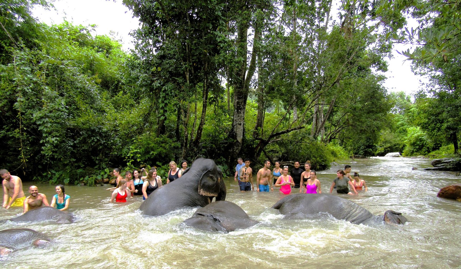 Elephant Sanctuary - Thailand