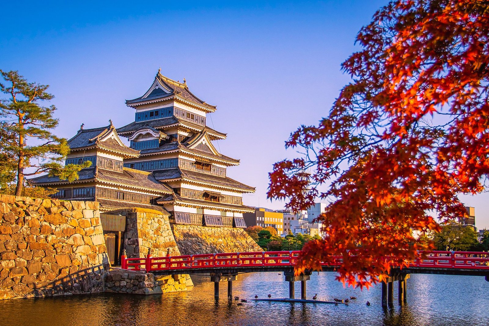 Scenic view of Matsumoto Castle with red bridge - Matsumoto, Japan